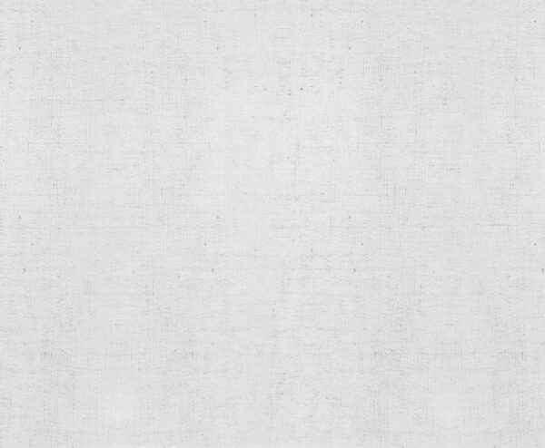 Sand Texture - Snow White Fabric Swatch